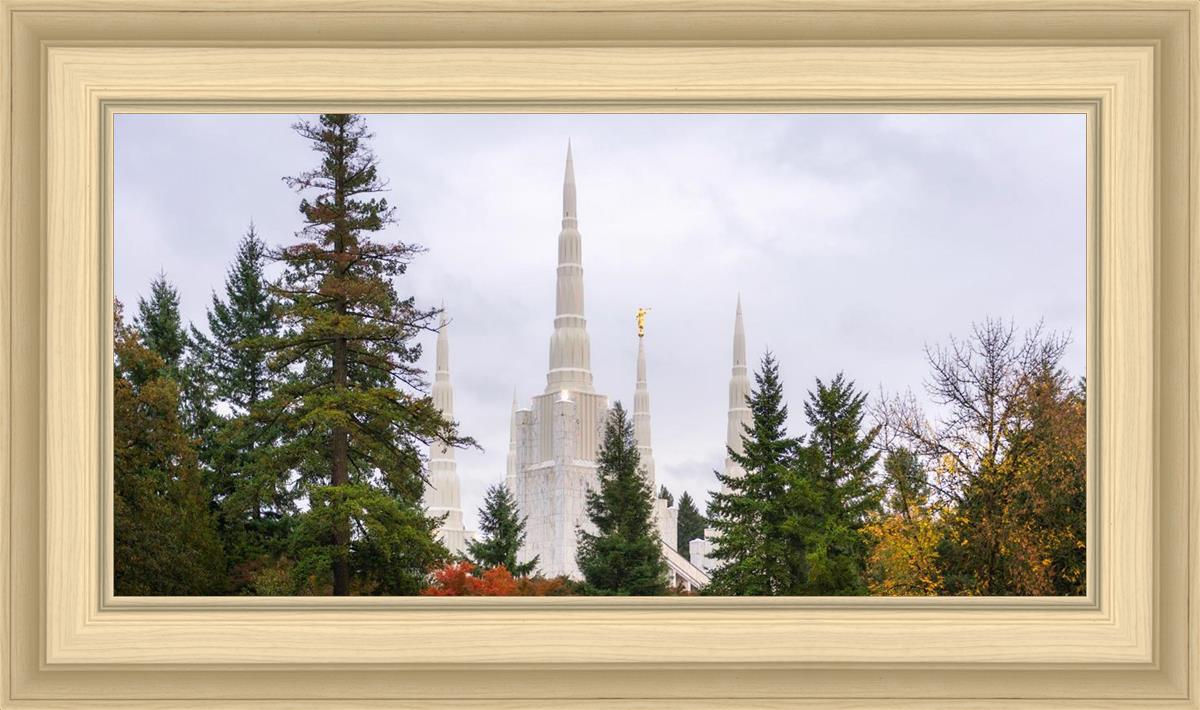 Portland Temple Forest Through The Trees