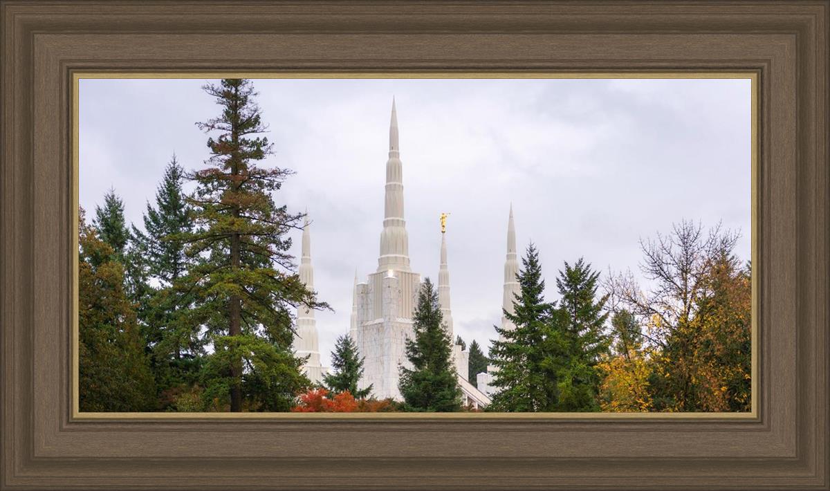 Portland Temple Forest Through The Trees