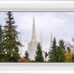 Portland Temple Forest Through The Trees