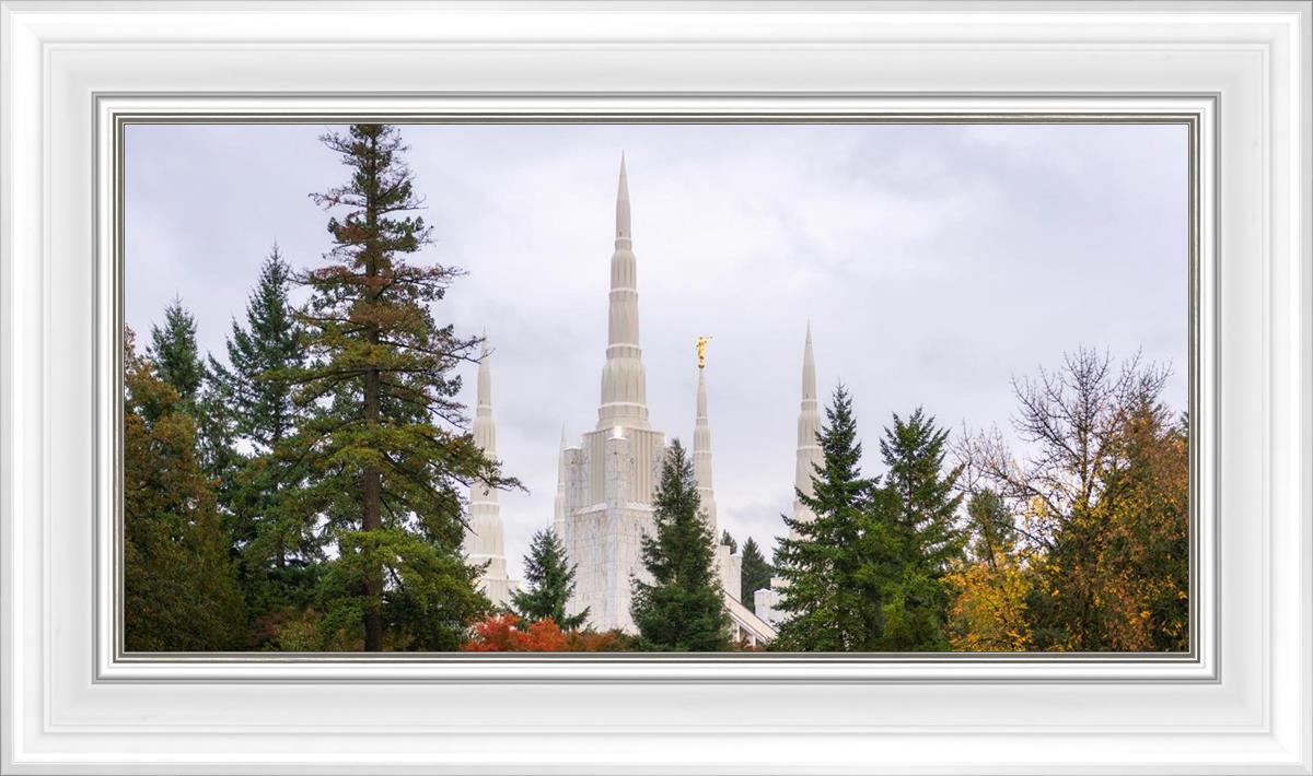 Portland Temple Forest Through The Trees