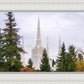 Portland Temple Forest Through The Trees
