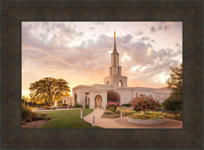 Sacramento Temple Sunset Panorama