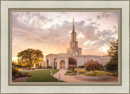 Sacramento Temple Sunset Panorama