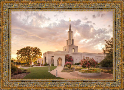 Sacramento Temple Sunset Panorama