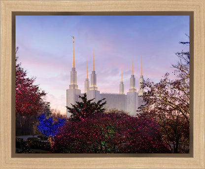 Washington DC Christmas Morning