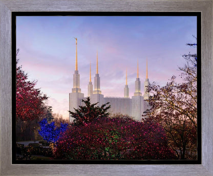 Washington DC Christmas Morning