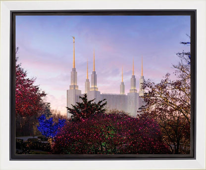 Washington DC Christmas Morning