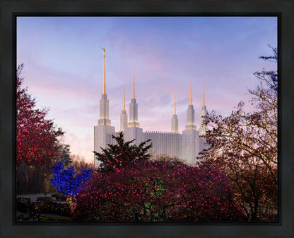 Washington DC Christmas Morning