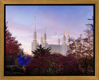 Washington DC Christmas Morning