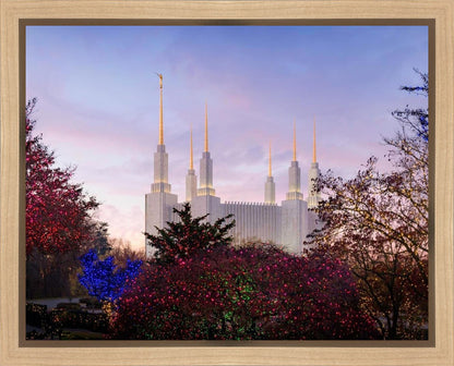 Washington DC Christmas Morning