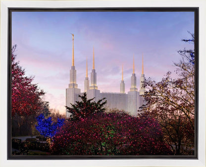 Washington DC Christmas Morning