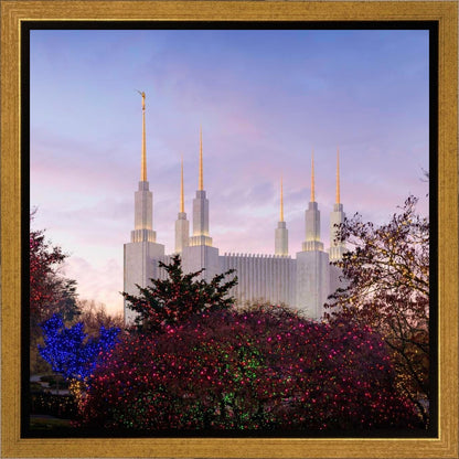 Washington DC Christmas Morning