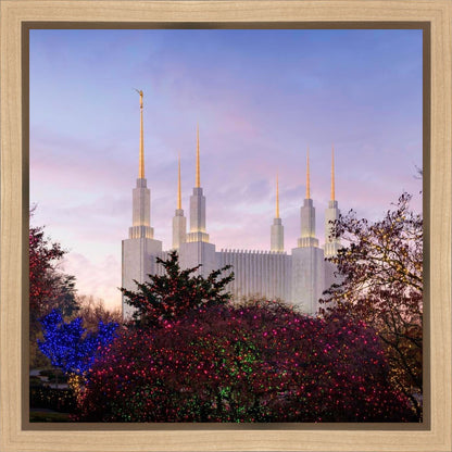 Washington DC Christmas Morning