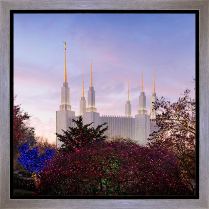 Washington DC Christmas Morning