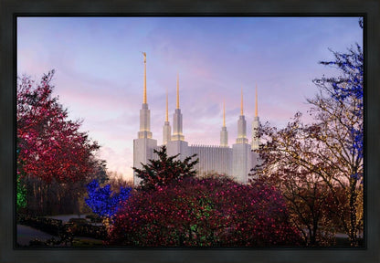 Washington DC Christmas Morning