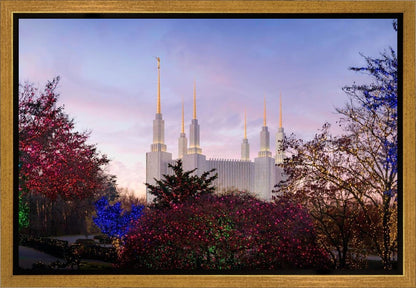 Washington DC Christmas Morning