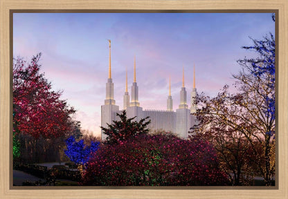 Washington DC Christmas Morning