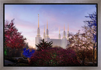 Washington DC Christmas Morning