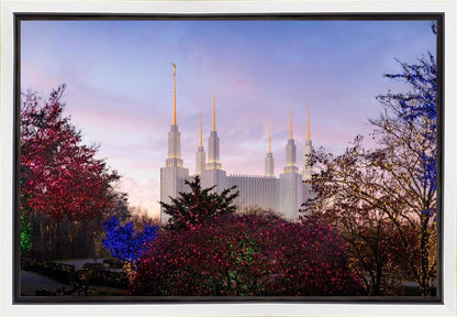 Washington DC Christmas Morning