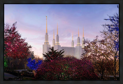 Washington DC Christmas Morning