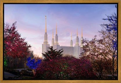 Washington DC Christmas Morning