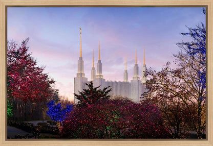 Washington DC Christmas Morning