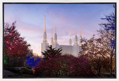 Washington DC Christmas Morning