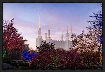 Washington DC Christmas Morning