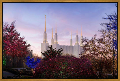 Washington DC Christmas Morning