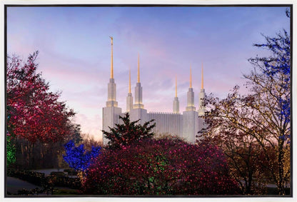 Washington DC Christmas Morning