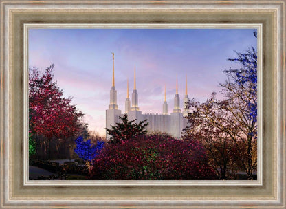 Washington DC Christmas Morning