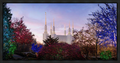 Washington DC Christmas Morning