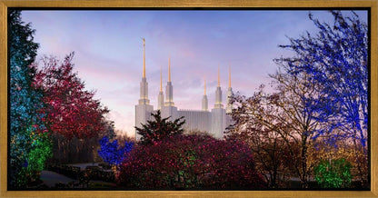 Washington DC Christmas Morning