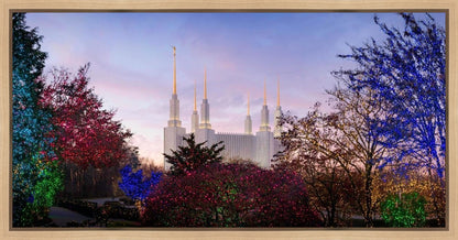 Washington DC Christmas Morning