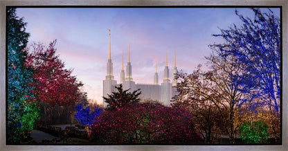 Washington DC Christmas Morning