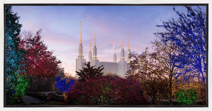 Washington DC Christmas Morning