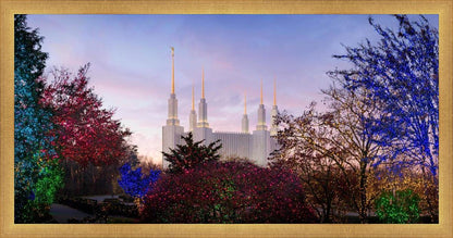 Washington DC Christmas Morning