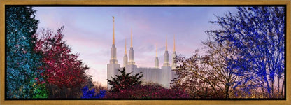 Washington DC Christmas Morning