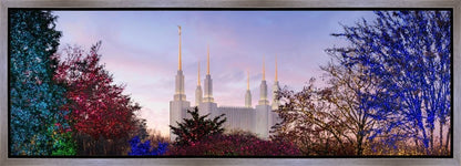 Washington DC Christmas Morning