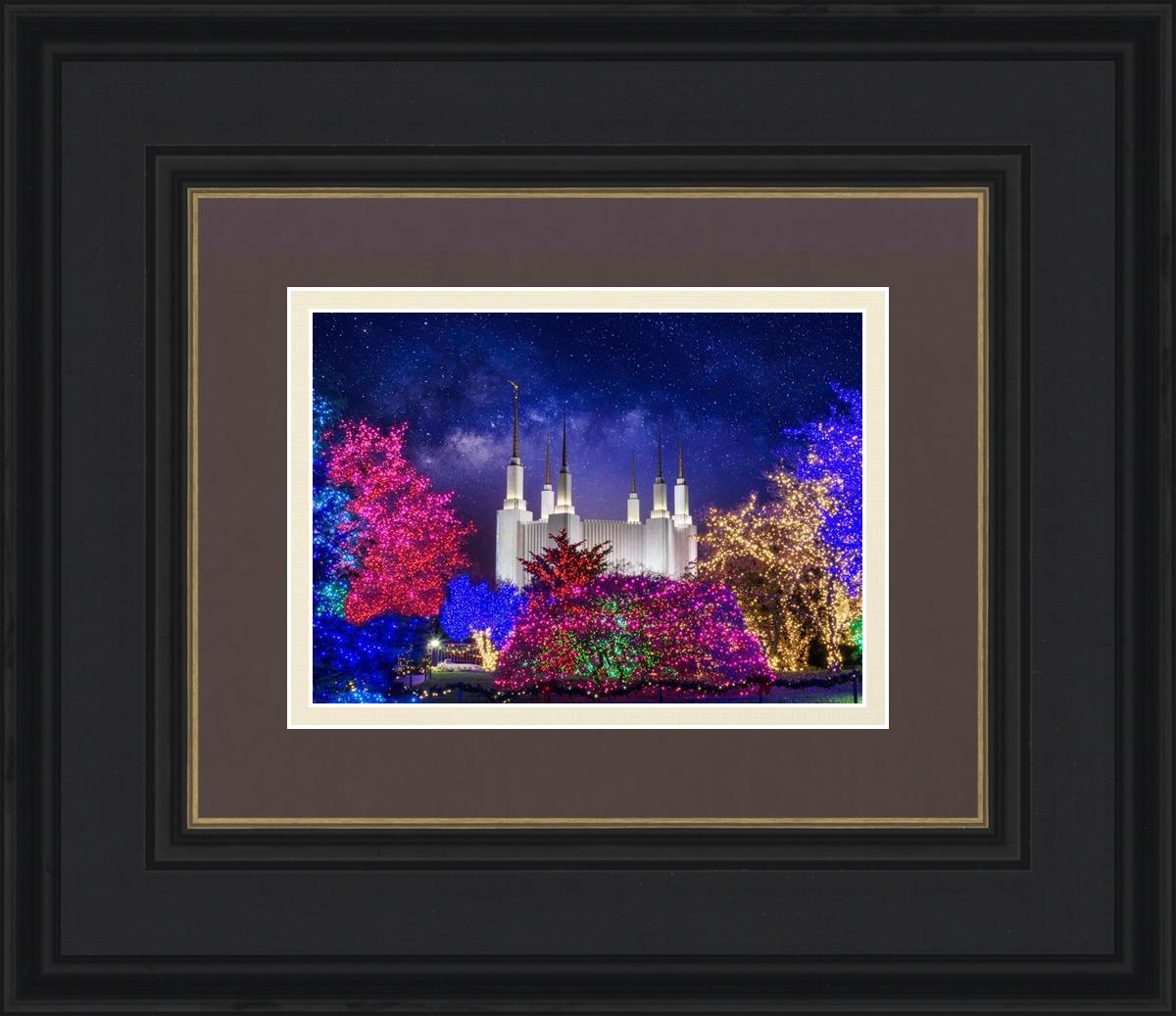 Washington DC Temple Christmas Lights