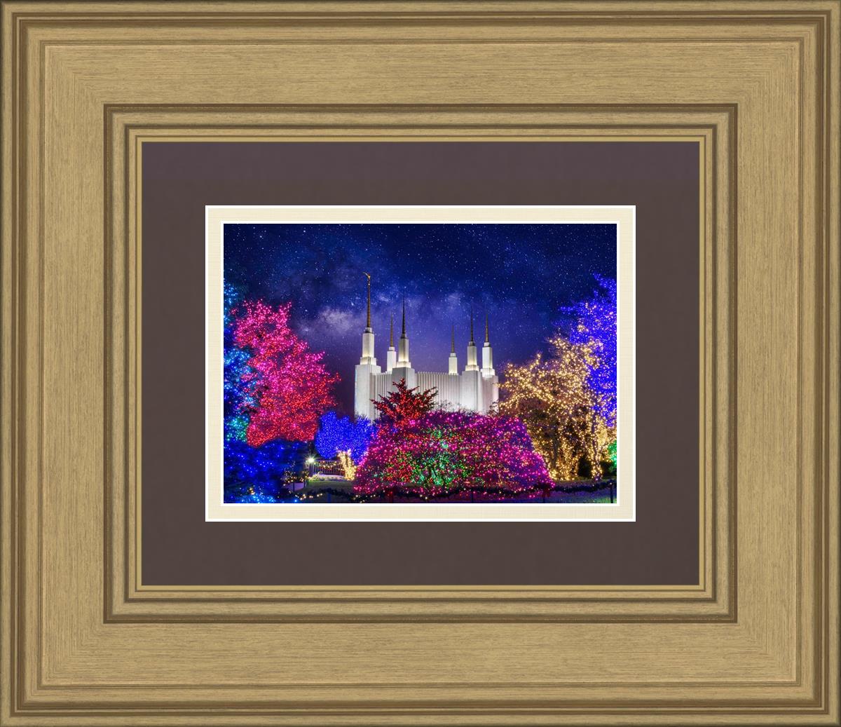 Washington DC Temple Christmas Lights