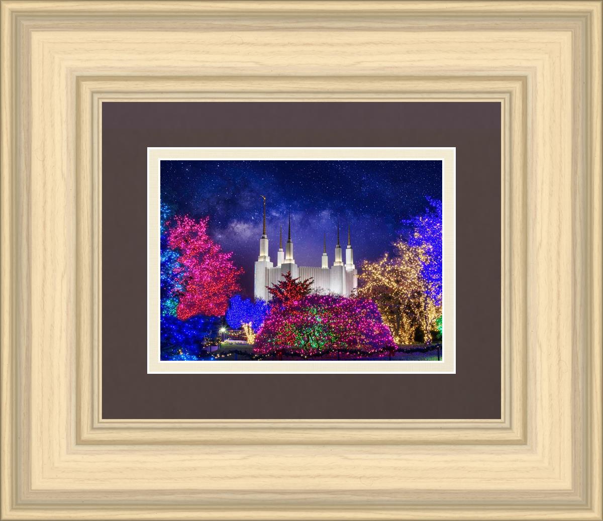 Washington DC Temple Christmas Lights