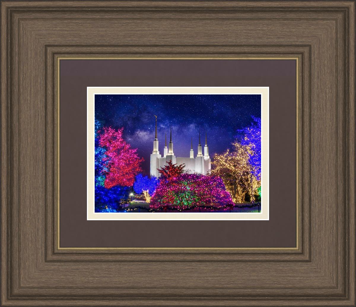 Washington DC Temple Christmas Lights
