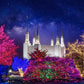 Washington DC Temple Christmas Lights