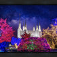 Washington DC Temple Christmas Lights