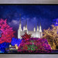 Washington DC Temple Christmas Lights