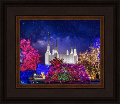 Washington DC Temple Christmas Lights