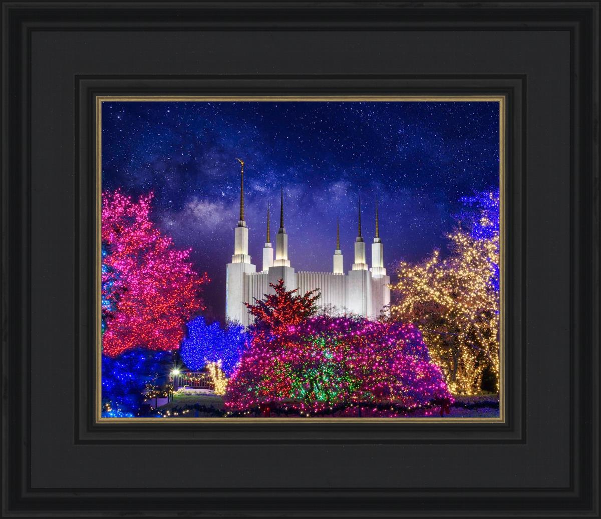 Washington DC Temple Christmas Lights