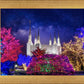 Washington DC Temple Christmas Lights