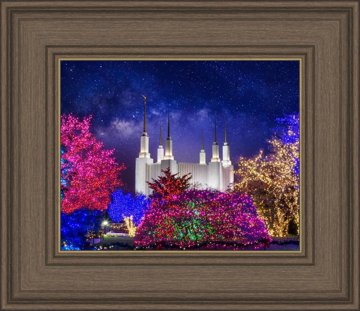 Washington DC Temple Christmas Lights